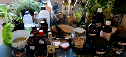 Making Herbal Remedies