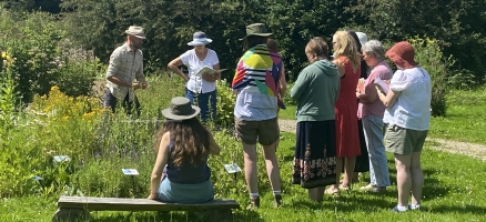 Grow Your Own Medicinal Herb Garden - JUNE