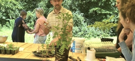 Grow Your Own Medicinal Herb Garden - JULY
